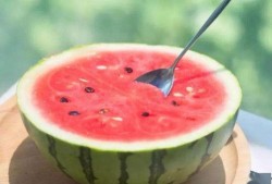 吃瓜网官网免费观看